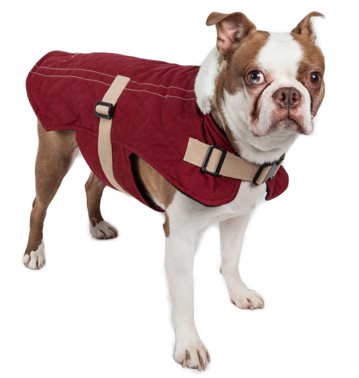 Touchdog Original Sherpa-Bark Designer Fashion-Forward Dog Coat Maroon